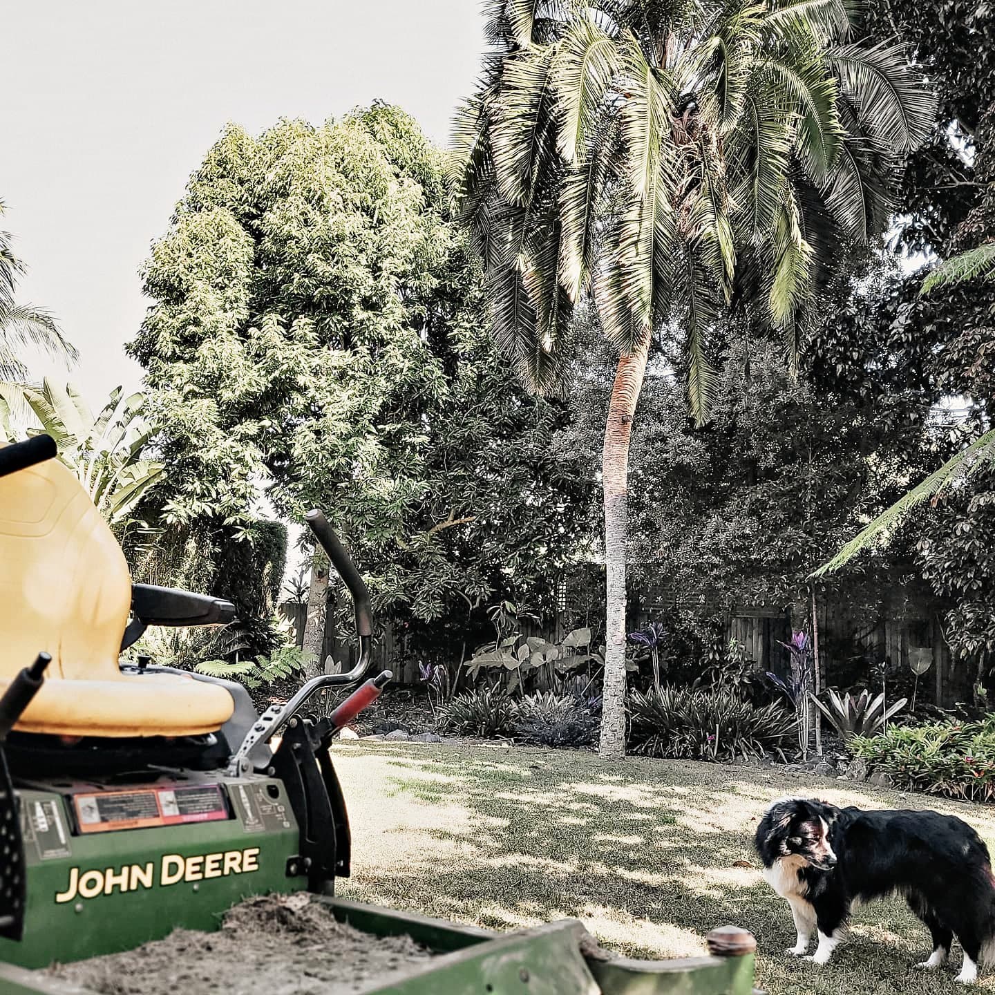Garden care visit in a lush subtropical garden