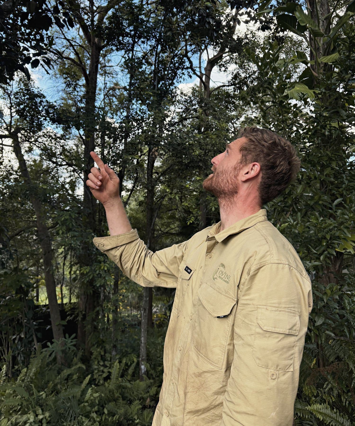 Chris assessing the canopy on a client property
